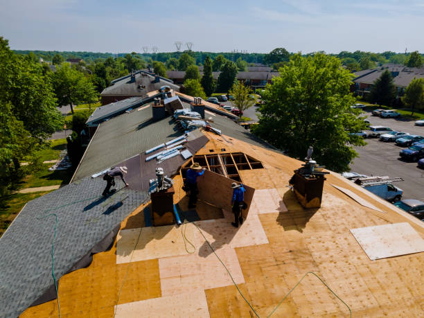 24/7 Emergency Flat Roof Repair experts in Graham, FL